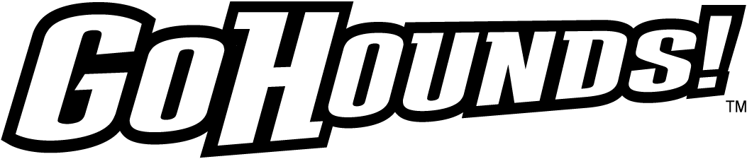 Loyola-Maryland Greyhounds 2011-Pres Wordmark Logo v5 iron on transfers for clothing